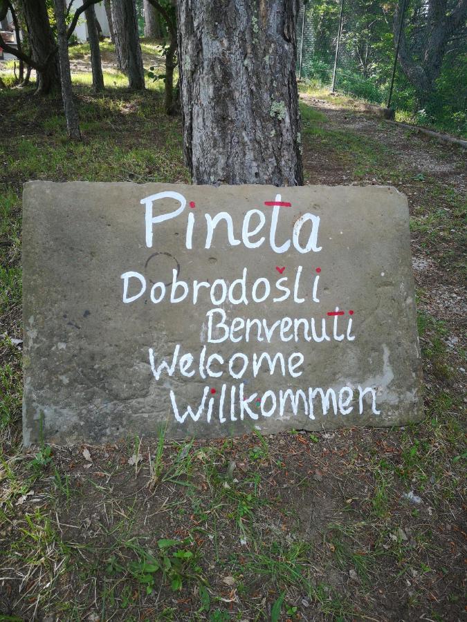 Pineta Villa Gračišče Exterior foto