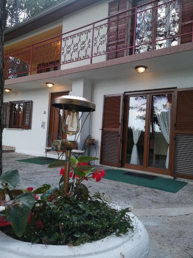 Pineta Villa Gračišče Exterior foto